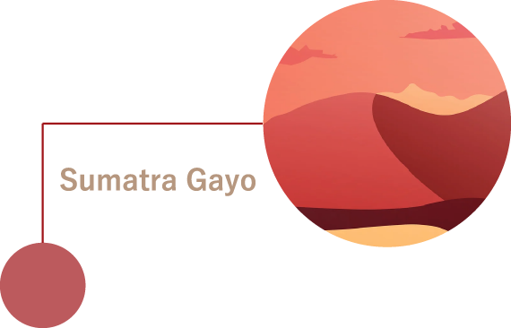 Sumatra Gayo スマトラ島 アチェ
