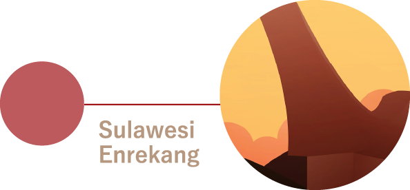 Sulawesi Enrekang スラウェシ島