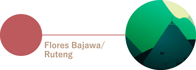Flores Bajawa/Ruteng フローレス島バジャワ