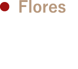 Flores フローレス